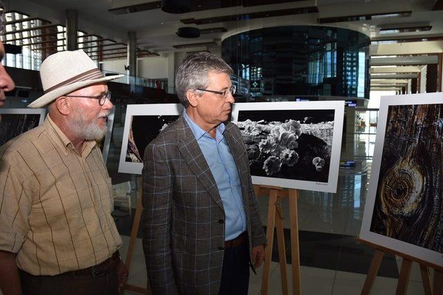 Koca Seyit Havalimanı “Doğanın Çizgileri”ne ev sahipliği yapıyor