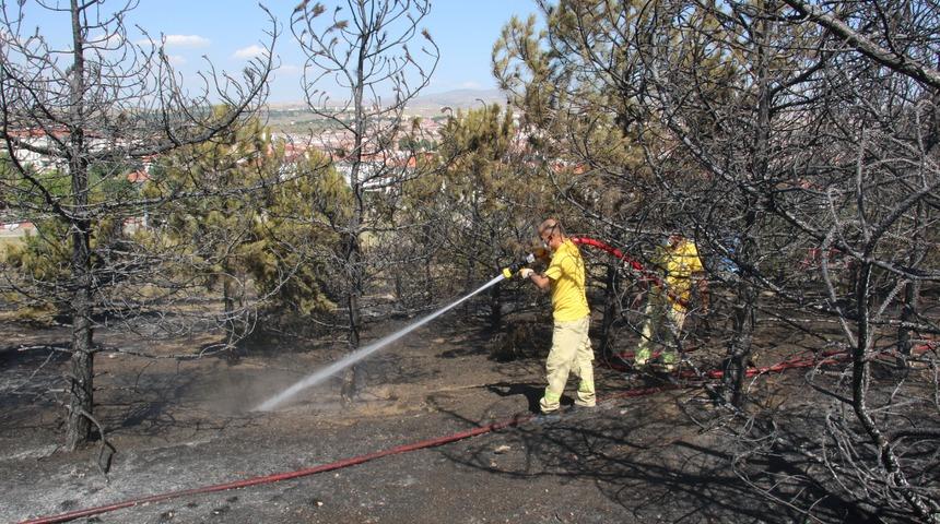 Ankara'nın Gölbaşı ilçesinde orman yangını!