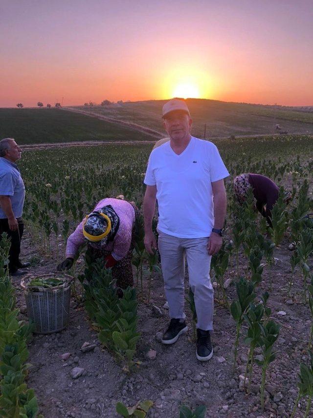 Manisalı tütün çiftçilerinin gece mesaisi