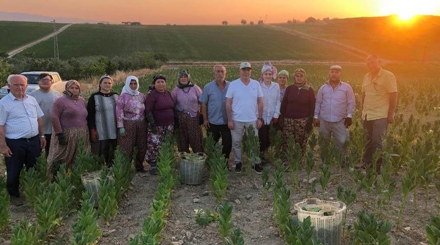 Manisalı t&uuml;t&uuml;n &ccedil;ift&ccedil;ilerinin gece mesaisi
