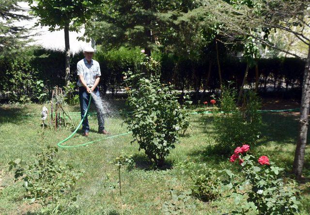 Emekli başkomiser Edirne'ye 400 ağaç dikti