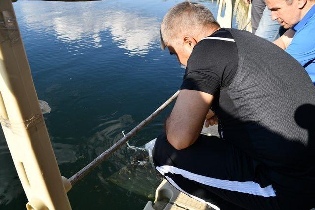 Turizmi canlandırmak için doğa yürüyüşü yapıp, göle sazan yavrusu bıraktılar