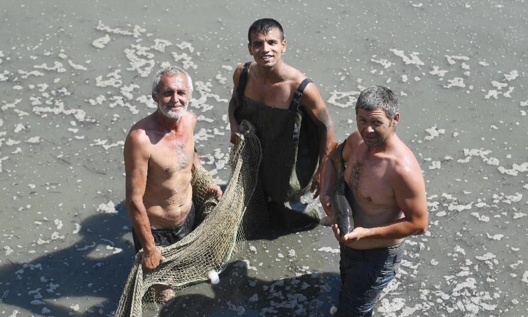 Balıklar doğal yaşam alanlarına taşınıyor