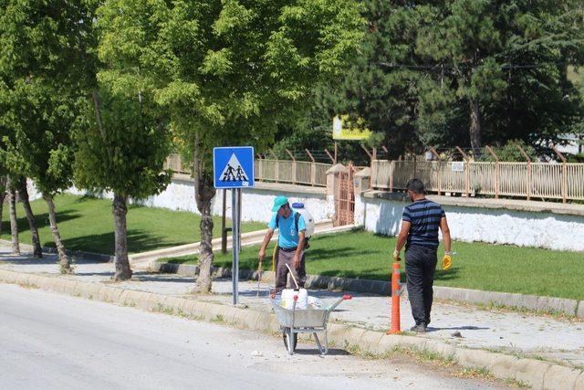 Sivrihisar çiçeklerle renkleniyor