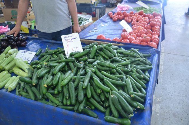 Salatalık tarlada 30 kuruş pazarda 1,5 lira