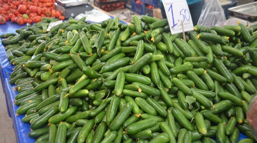 Salatalık tarlada 30 kuruş pazarda 1,5 lira