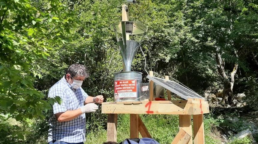 Küre Dağları Milli Parkı’nda zararlı kelebeklerle mücadele başlatıldı