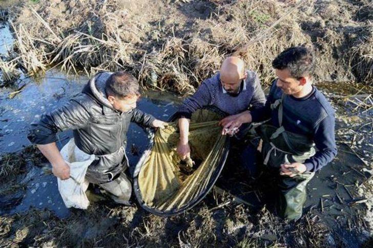 Ekmekleri kurbağanın bacağında G3