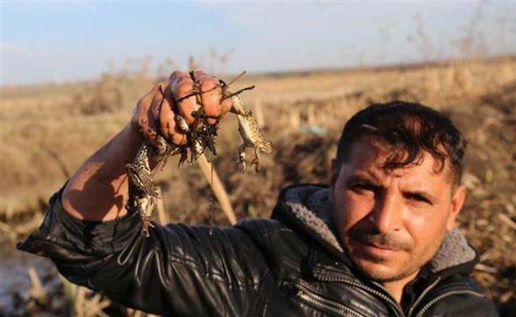 Ekmekleri kurbağanın bacağında G4