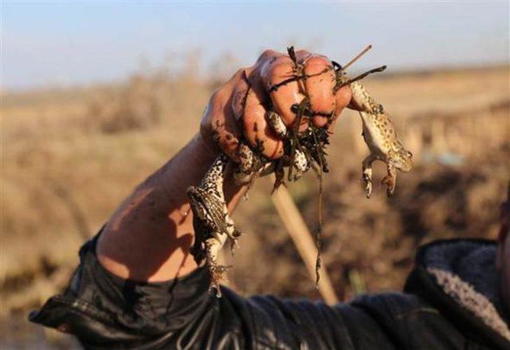 Ekmekleri kurbağanın bacağında G5