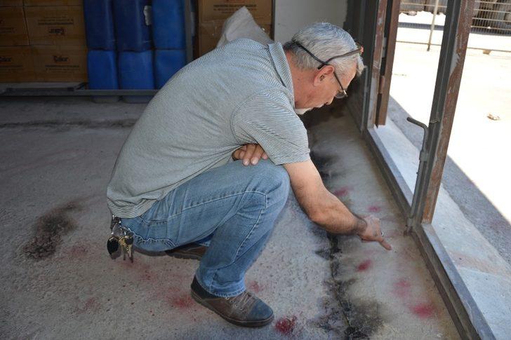 İş yerini keneler bastı korkudan dükkanına giremiyor G1