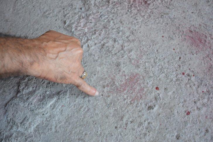 İş yerini keneler bastı korkudan dükkanına giremiyor G3