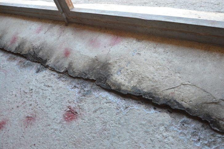 İş yerini keneler bastı korkudan dükkanına giremiyor G5