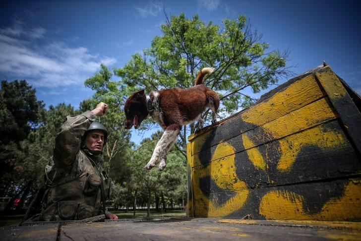 TSK'nin yeni gözdesi Trabzonlu 'Zerdava' G1