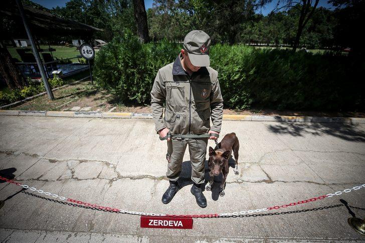 TSK'nin yeni gözdesi Trabzonlu 'Zerdava' G5