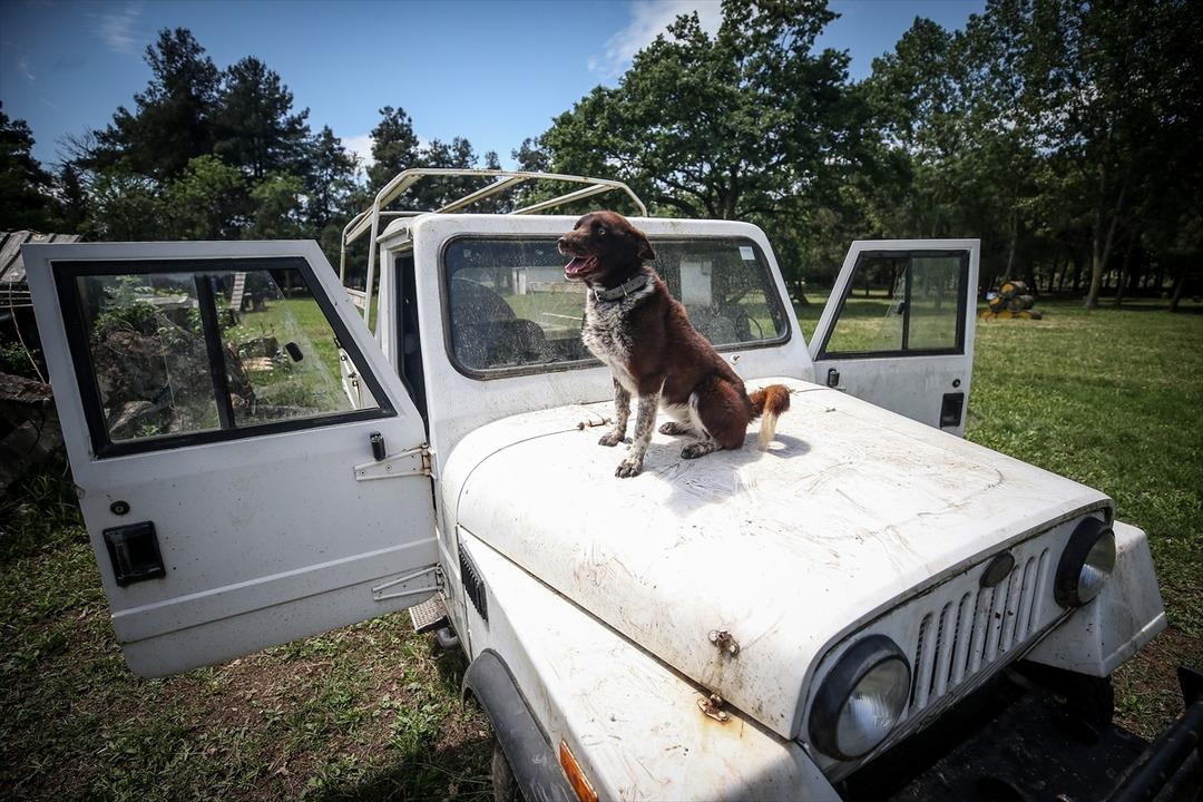TSK'nin yeni g&ouml;zdesi Trabzonlu 'Zerdava'