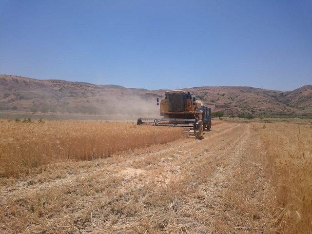 Elazığ’da biçerdöverler denetledi