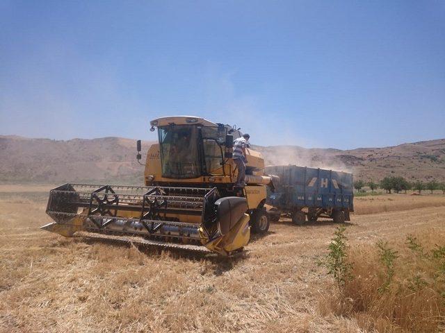 Elazığ’da biçerdöverler denetledi