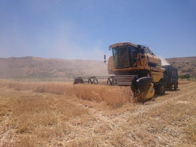 Elazığ’da biçerdöverler denetledi