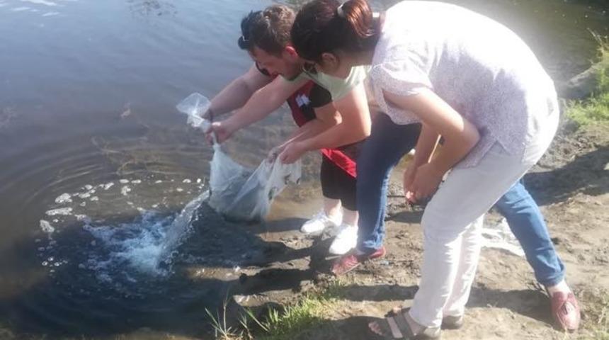 ’Aynalı Gölü’ne 20 bin sazan yavrusu