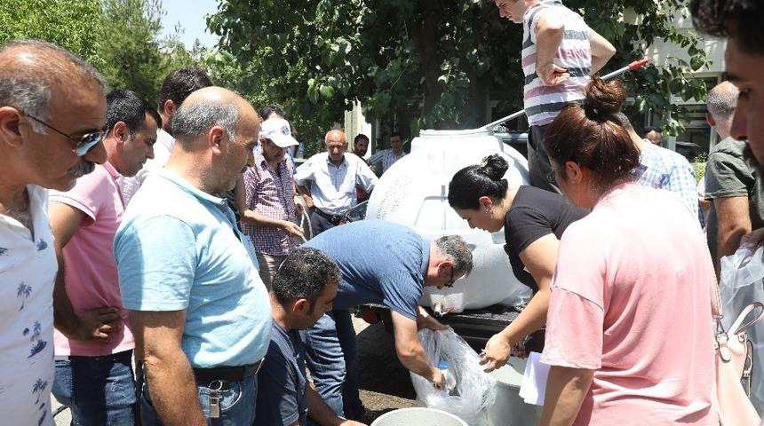 Diyarbakır&rsquo;daki g&ouml;letlere 121 bin sazan balığı yavrusu bırakıldı