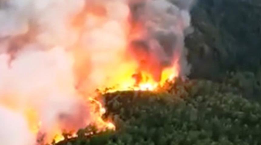Muğla&rsquo;nın Dalaman il&ccedil;esinde korkun&ccedil; yangın! 250 hektarlık alana yayıldı