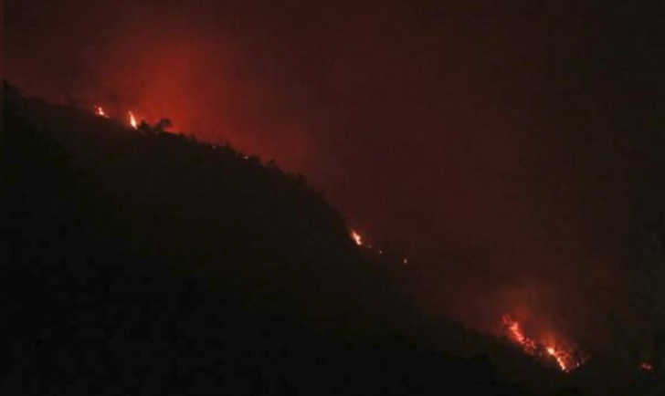 Muğla'da korkutan yangın! Saatlerdir durdurulamıyor, Vali Civelek'ten açıklama geldi! G3