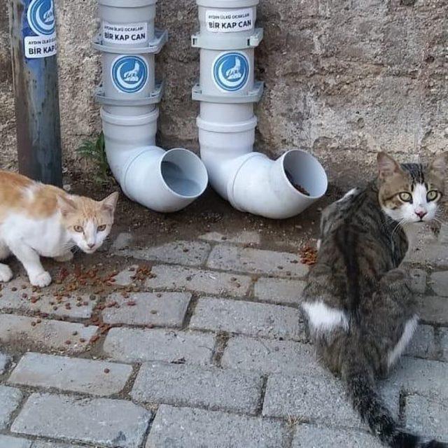 Ülkü Ocakları’ndan sokak hayvanları için örnek davranış