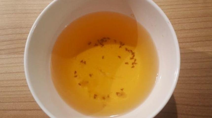 Evinizde meyve sinekleri var mı? Bu basit karışımla zaman kaybetmeden onlardan kurtulabilirsiniz