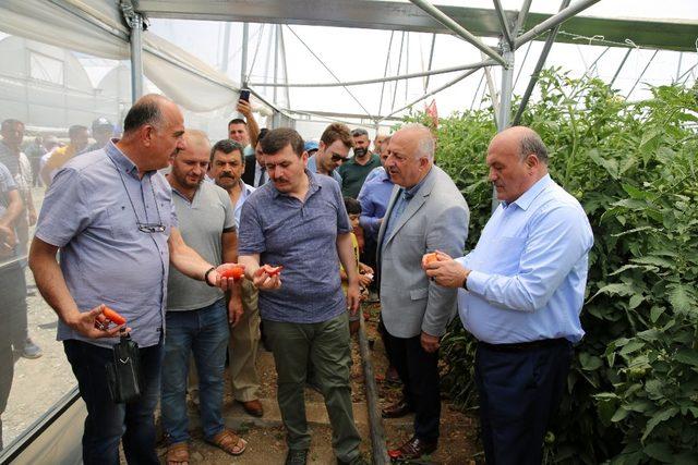 Ahıskalılar seradan ilk mahsulü aldı