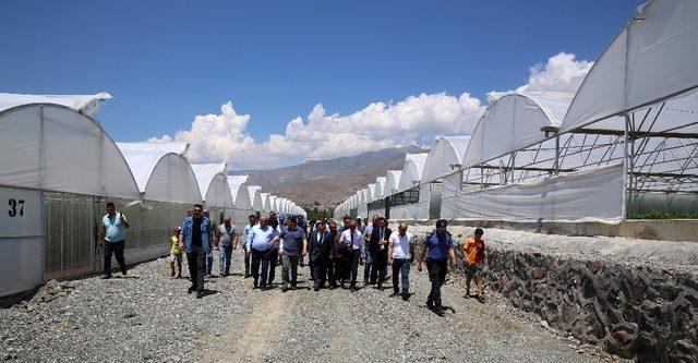 Ahıskalılar seradan ilk mahsulü aldı