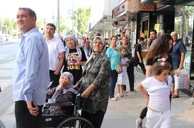 Arılar, kentin en işlek yerlerinden birindeki ağaca oğul verdi