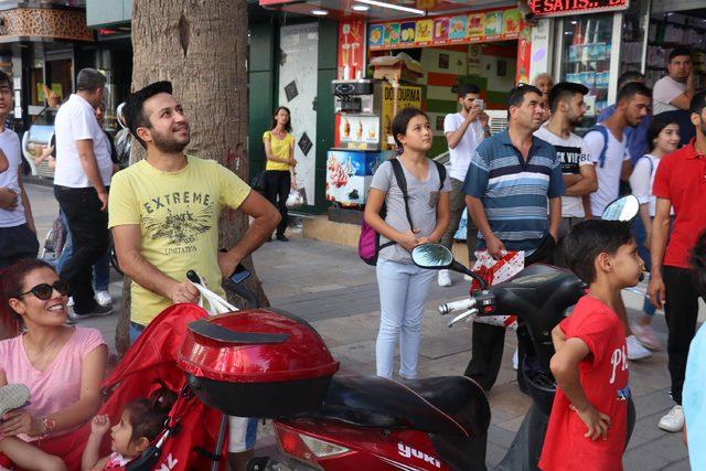 Arılar, kentin en işlek yerlerinden birindeki ağaca oğul verdi