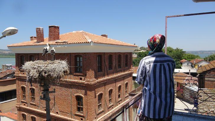 Bu evde oturan leyleklere komşu oluyor G3