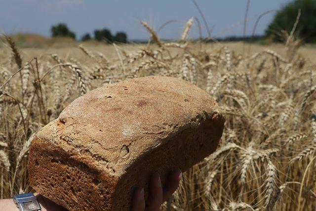 Ata tohumlarının buğdayından ekmek yapıp, internetten satıyor