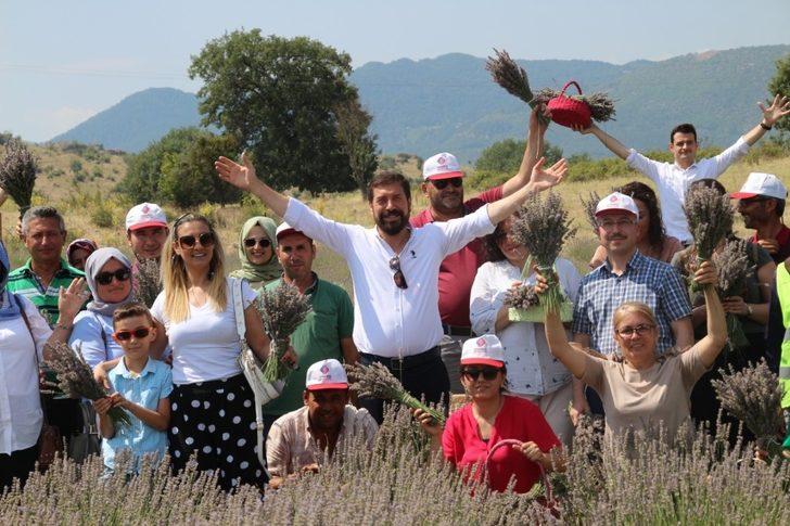 Sındırgı’da mis kokulu hasat G2