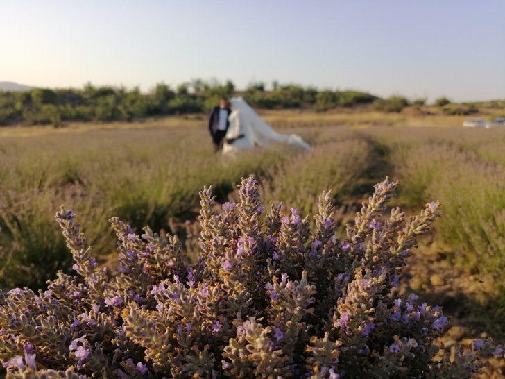 Sındırgı’da mis kokulu hasat G4