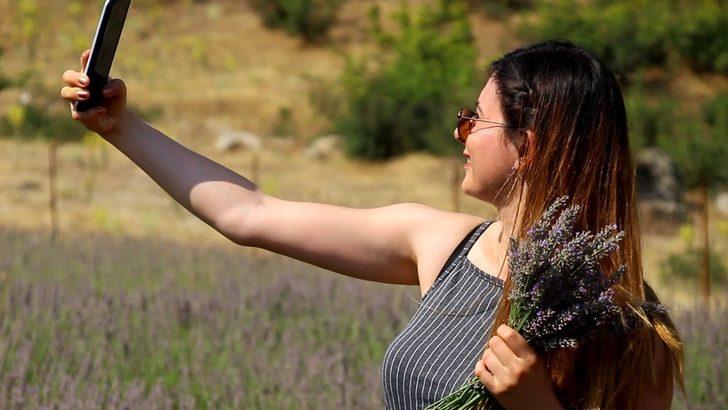 Sındırgı’da mis kokulu hasat G5