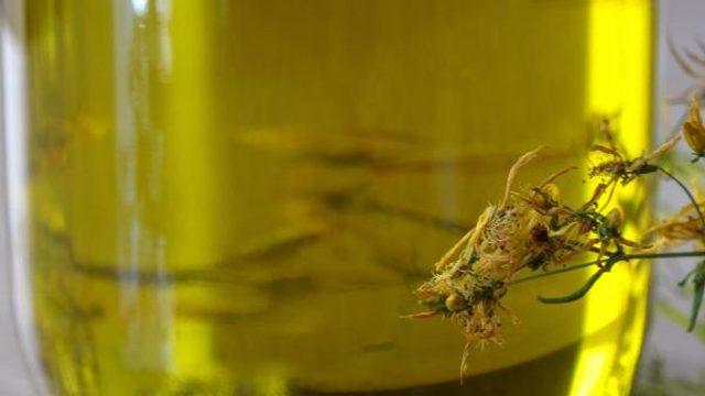 Kantaronu, asla güneş kremi olarak kullanmayın