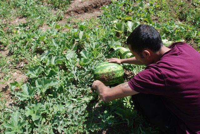 Bağımlı gençlere ’tarla’ terapisi