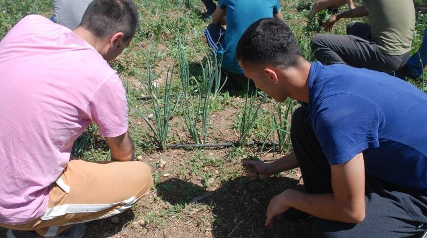 Bağımlı gençlere ’tarla’ terapisi