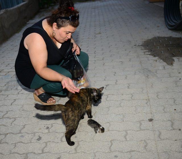 Ölen yavrusunun başından ayrılamadı, üstüne kapanıp ağladı