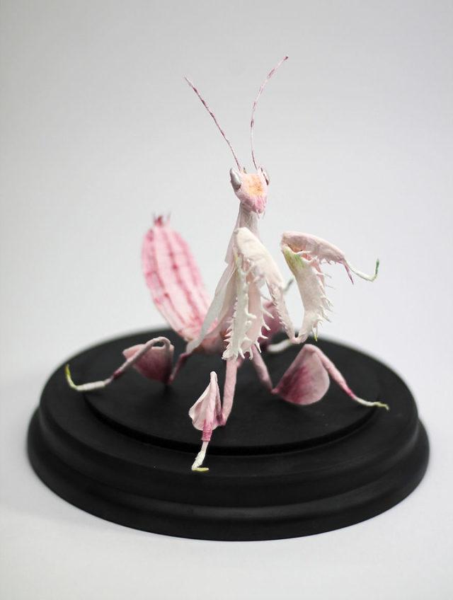 Crepe_Paper_Insects_PaperArt_Praying_orchid_mantis_by_faltmanufaktur12-5d250fa640697__880