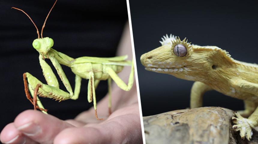 Bu b&ouml;cekleri g&ouml;ren ger&ccedil;ek sanıyor ama ger&ccedil;ek &ccedil;ok başka!