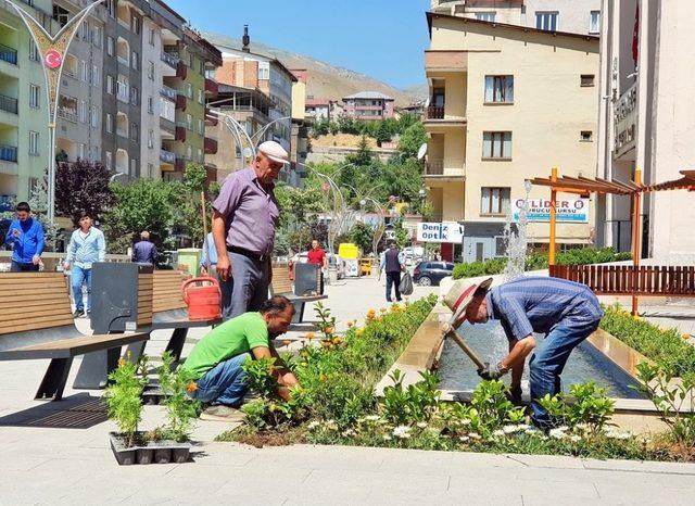 Peyzaj çalışmaları görsel şölen oluşturuyor