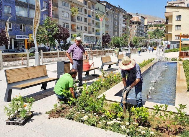 Peyzaj çalışmaları görsel şölen oluşturuyor