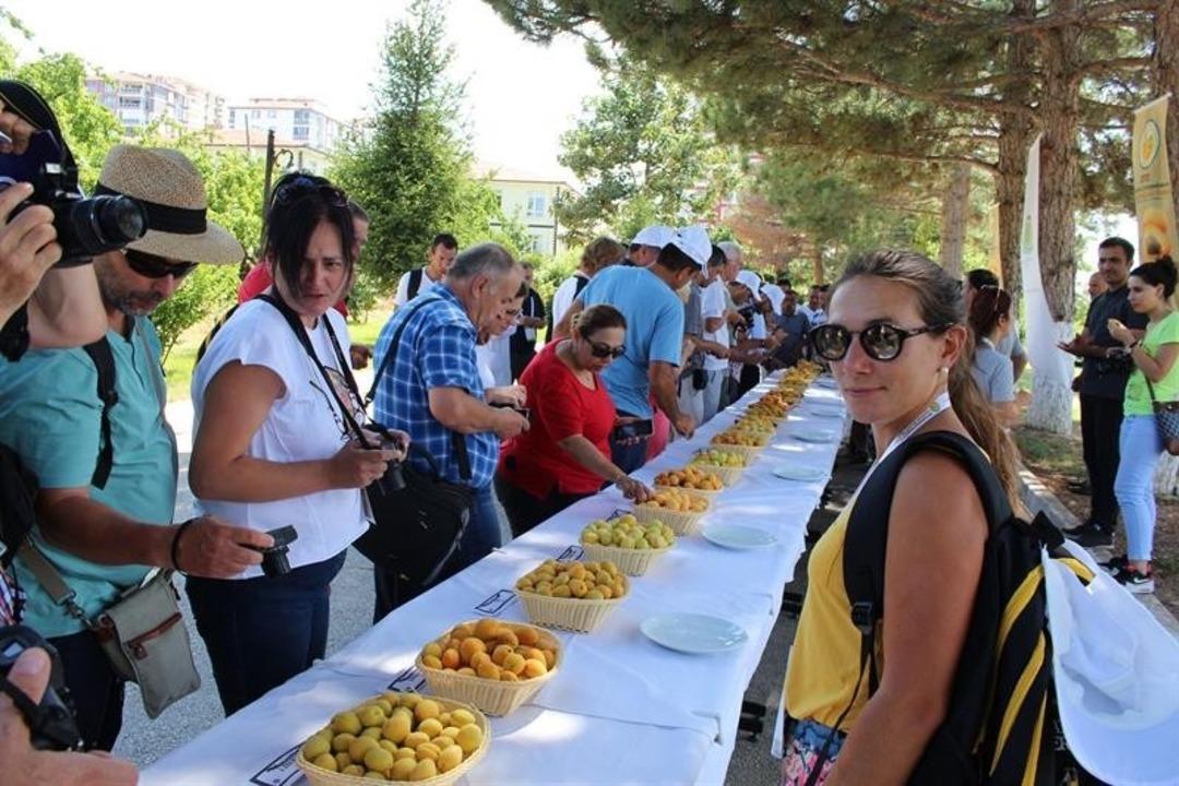 22 &uuml;lke akademisyeninden Kayısı Araştırma Enstit&uuml;s&uuml;ne ziyaret