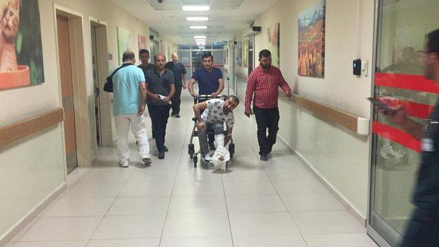 Kamyonetten d&uuml;şen sunta yayanın ayağını kırdı 1