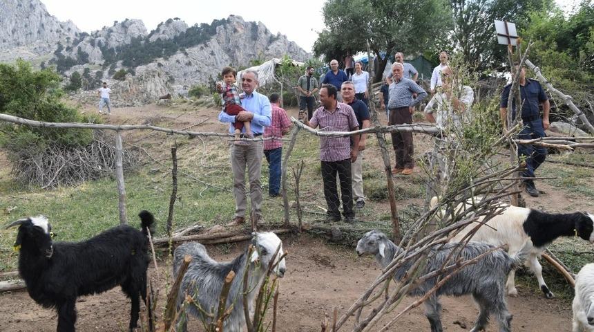 Başkan Esen’den hayvancılığa destek  sözü