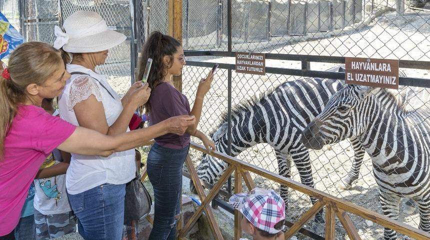 &Ccedil;ocuklar anneleriyle Tarsus Hayvan Parkı&rsquo;nı gezdi